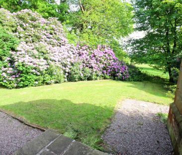 2 bedroom detached bungalow to rent - Photo 5