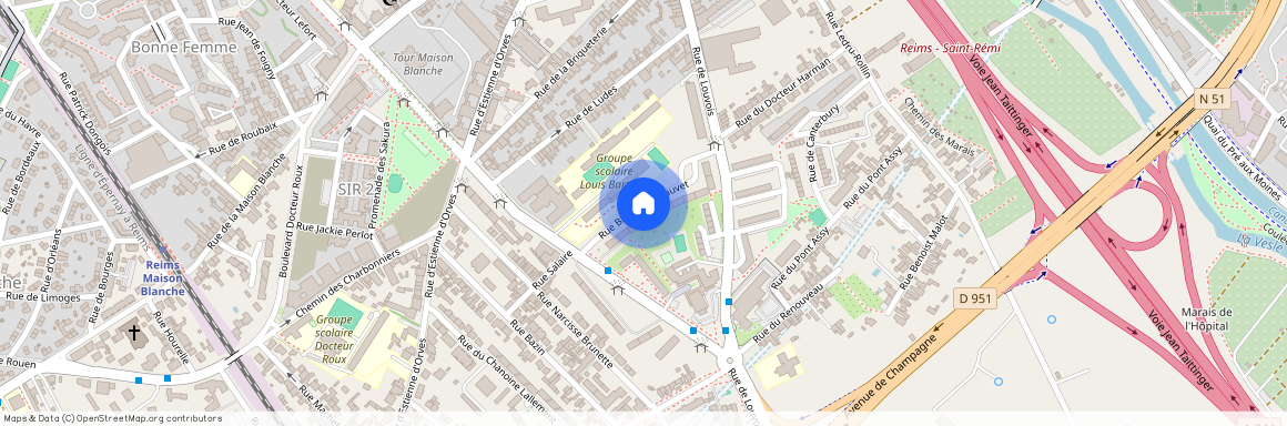 015 RUE BIEBUYCK CHAUVET, 51100, Reims