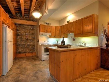 Condo for rent, Montréal (Ville-Marie) - Photo 4