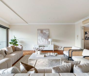 23 Drumalbyn Road, Bellevue Hill NSW 2023 - House For Rent | Domain - Photo 5