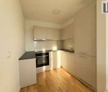 Neuwertige 2-Zi Gartenwohnung mit Terrasse, Loggia & Stellplatz in ... - Foto 4
