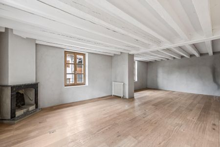 Superb triplex apartment with private garden in Collex-Bossy - Photo 3