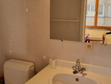 IXELLES : APPARTMENT MEUBLE 2 CHAMBRES + TERRASSE - Ixelles - Foto 5