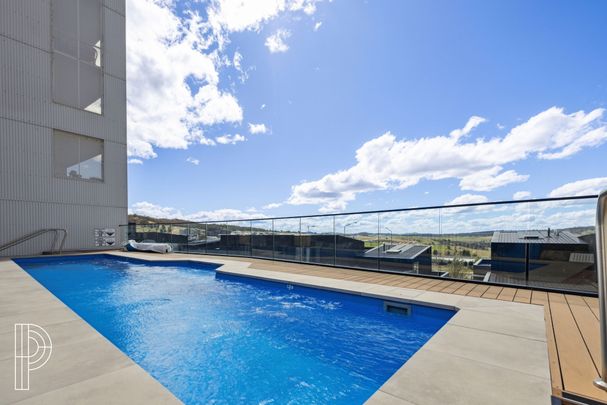 1/2 McMichael Terrace, Denman Prospect ACT 2611 - Apartment For Rent | Domain - Photo 1