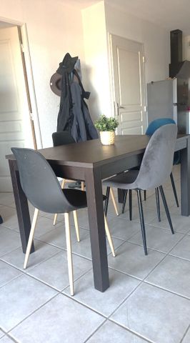 Location appartement 2 pièces, 45.00m², Castelginest - Photo 2