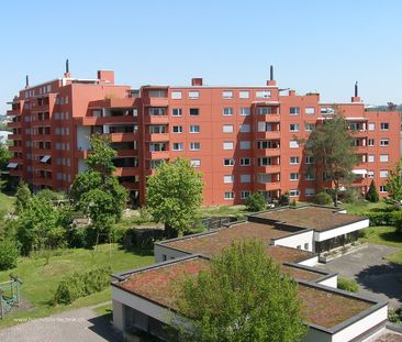 8606 Greifensee - Photo 1
