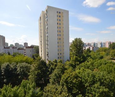 Mieszkanie na wynajem Warszawa, Mokotów, Mokotów, Domaniewska - Photo 3