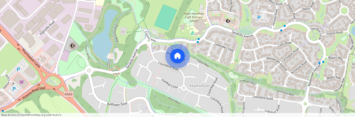 Speedwell Drive Hamilton LEICESTER LE5 1UH