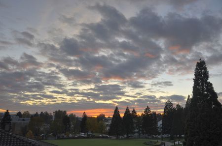 3.5 Zimmer, 4. Stock - Photo 3