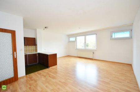 CHRISTOPH CHROMECEK IMMOBILIEN - MÖDLING - Großzügige Einraumwohnung in Zentrumsnähe! - Photo 2