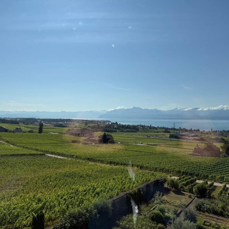 Joli appartement au coeur des vignes - Photo 1
