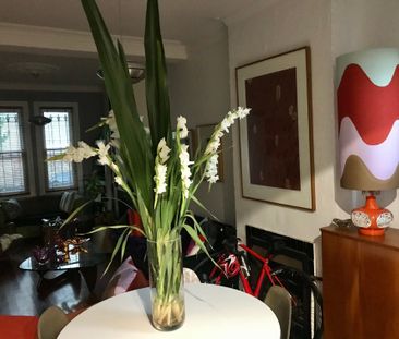 Surry Hills - Photo 2