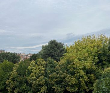 Location Appartement 1 pièce 24m² - Photo 6