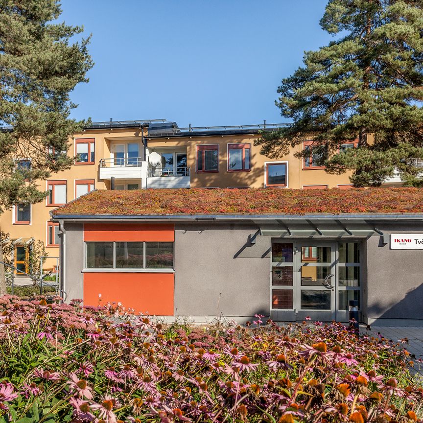 Åmmebergsgatan 10 - Foto 1