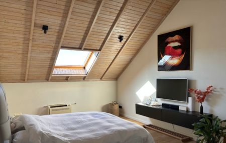 SERSKAMP - Luxueuze loft met groot terras. - Photo 5