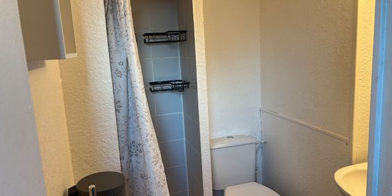 Appartement 1 pièce à louer à Reims - Réf 135 - Photo 3