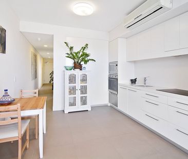 312/53 Palmer Street, Cammeray NSW 2062 - Apartment For Rent | Domain - Photo 5