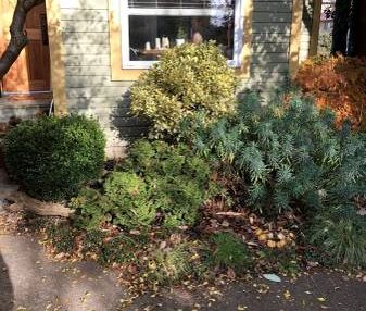 Strathcona Townhouse - Photo 3