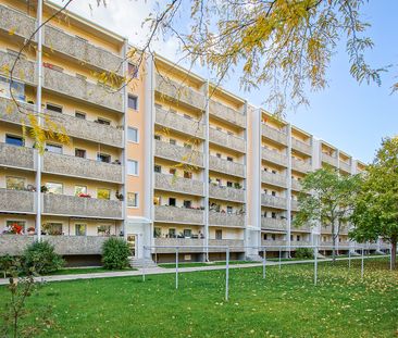 1-Zimmer Mietwohnung - Großzschachwitz - Photo 1