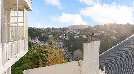 4 BR Kelburn Flat with 2 courtyards - Photo 3