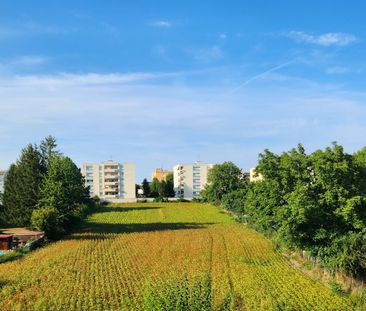 Location Appartement 3 pièces 82m² BISCHHEIM 67800 - Photo 2