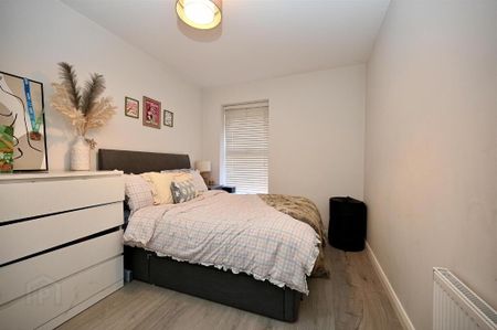 Apt 2, 130 Stranmillis Road, Belfast, BT9 5LW - Photo 4