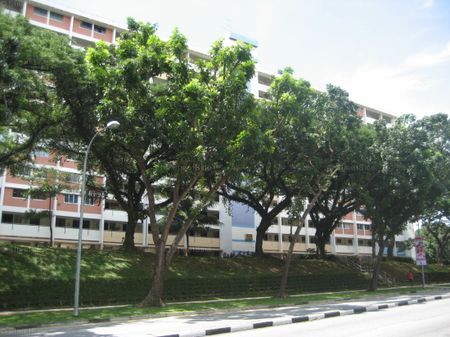 Blk 419 Bedok North Street 1 (Bedok), HDB 3 Rooms - For Rent - Photo 5