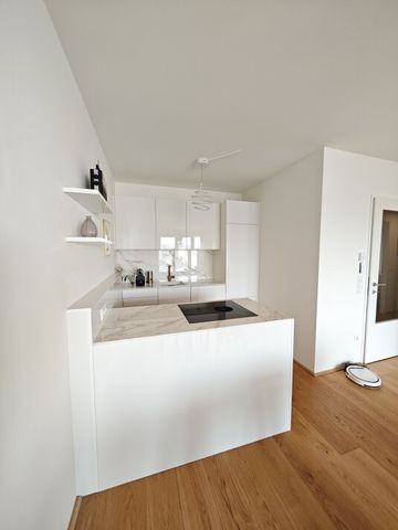 Hochwertiger Erstbezug (nahezu) mit Balkon und Fernblick, letzter Liftstock, Bruno-Marek-Allee, möbliert oder unmöbliert - Photo 4