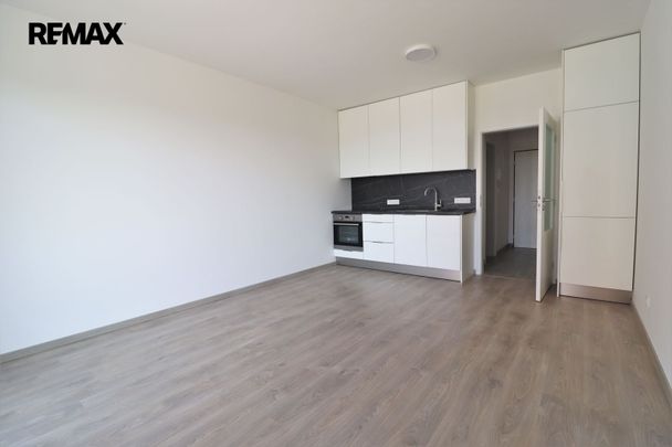 Pronájem bytu 1+kk v osobním vlastnictví 30 m², Praha 9 - Hloubětín - Fotografie 1