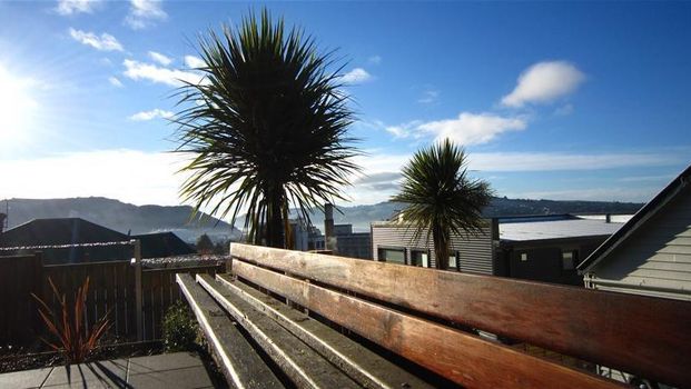 Unit B, 18 Canongate, City Centre, Dunedin - Photo 1