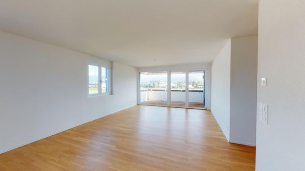3.5 Zimmer, 81 m², EG - Foto 1