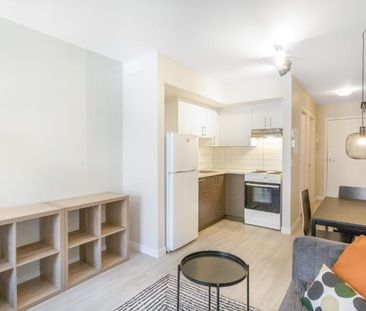 1 CH - 1 SDB - Montréal - $1,515 /mo - Photo 2