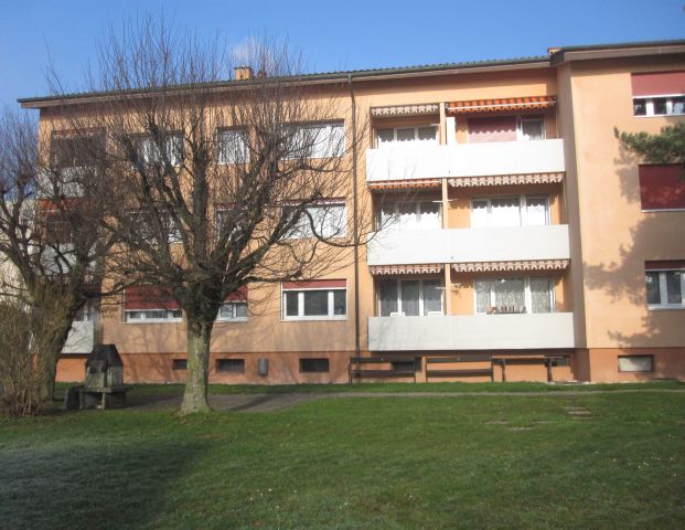 Emil-Schiblistrasse 17A, Lengnau - Photo 1