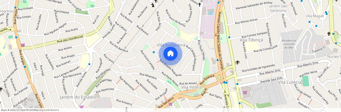 Rua Paula Machado, Vila Vitória, Vila Junqueira, Santo André - SP, 09172-420, Brazil