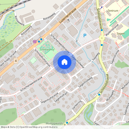 Schachenweidstrasse 37, 6030 Ebikon