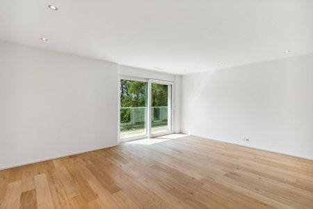 Exklusive Attika-Terassenwohnung mit Traumaussicht und Cheminée - Photo 3