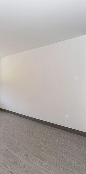 1 CH - 1 SDB - Outremont Près Laurier - $1,360 /mo - Photo 2