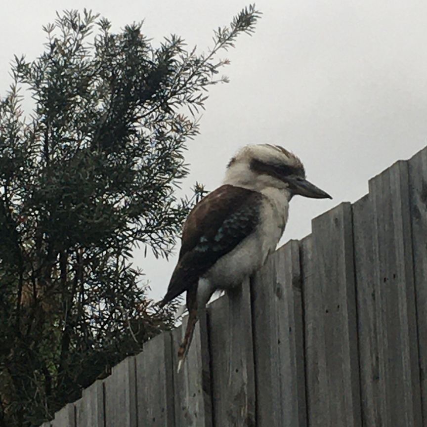 Coburg North - Photo 1