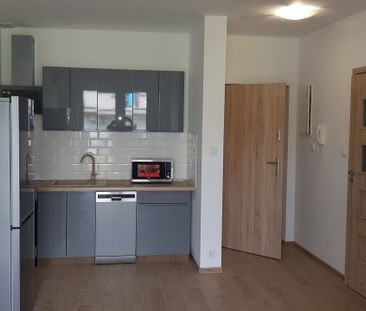 Nowy Świat, 2-pokojowe, 31m2, Parter - Photo 3