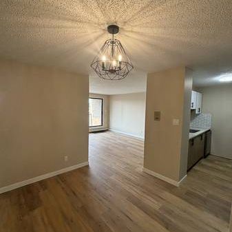 Brand New Kitchen--2 Bedroom Beltline Condo! - Photo 3