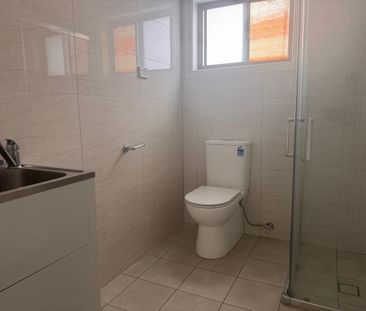 3 BEDROOM GRANNY FLAT WALKING DISTANCE TO CABRAMATTA STATION - Photo 5