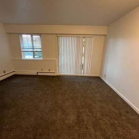 Renovated studio available for rent - Photo 3