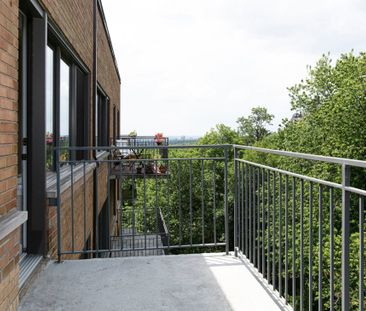 Appartement à louer - Montréal (Ville-Marie) (Centre Ouest) Apparte... - Photo 3