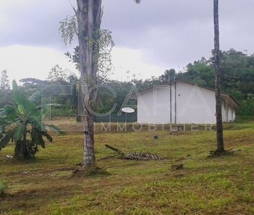 Location Maison 3 pièces 73m² MATOURY 97351 - Photo 4