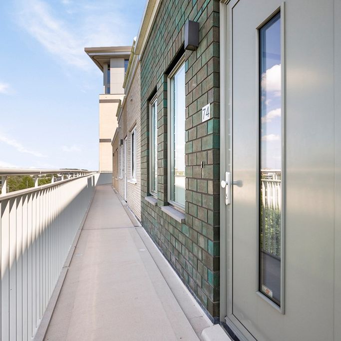 Bart Van Der Leckhof 74 - Foto 1