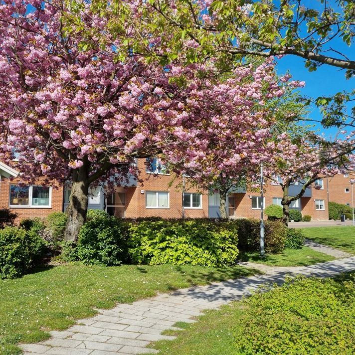 Sockenvägen 6 E, Trelleborg Öster - Foto 1