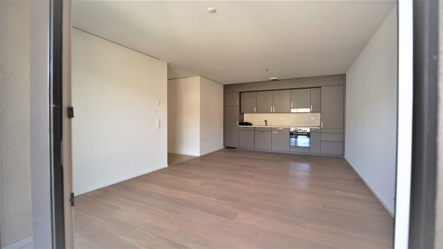 3.5 Zimmer, 82 m², 1. Stock - Photo 1