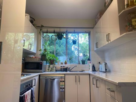 Summer Hill - Photo 5