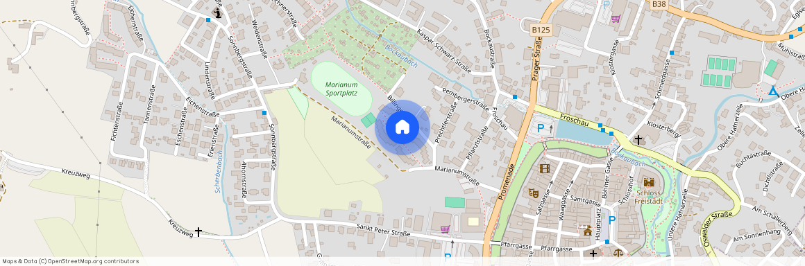 Billingerstraße 9/6, 4240, Freistadt