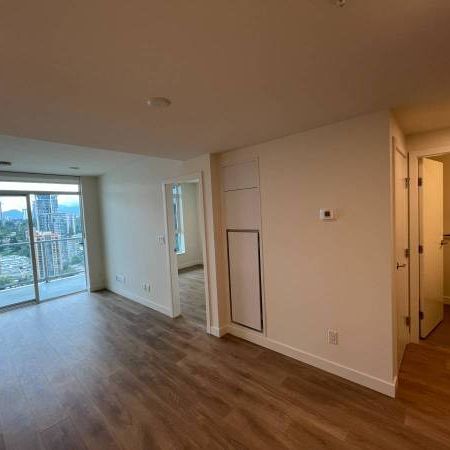 Brand New Apartment 1 Bedroom + Den (Coquitlam SOCO) - Photo 4